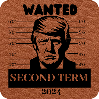 Close-up of the "Trump Wanted for Second Term" Hat